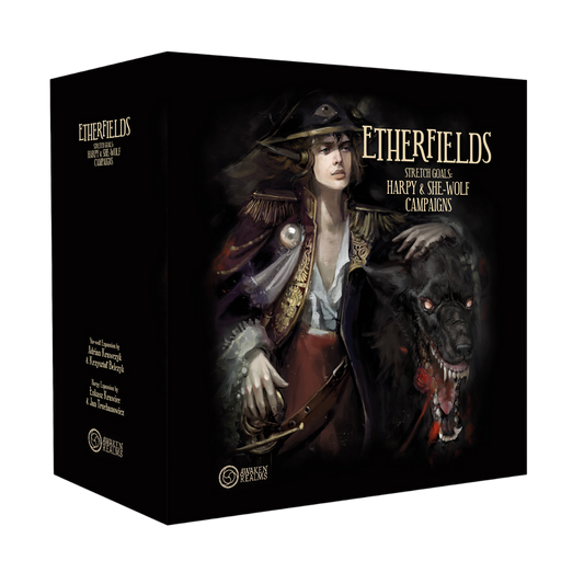 Etherfields: Stretch Goals  Fantasy Board Game Expansion Box Front